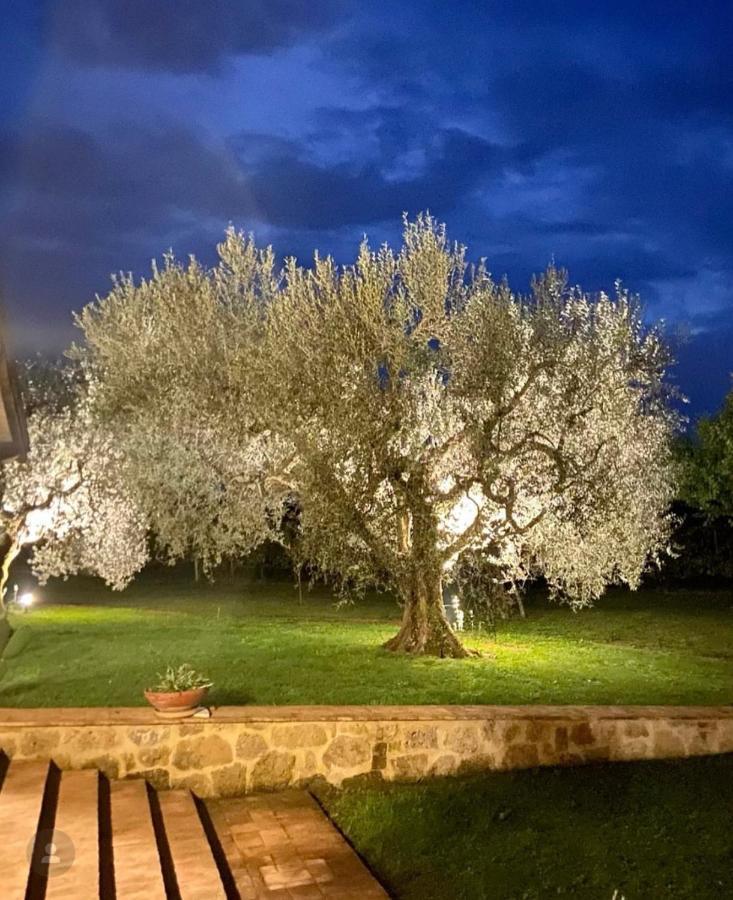 Agriturismo Eco-Bio Villa Vacasio ปีติญาโน ภายนอก รูปภาพ