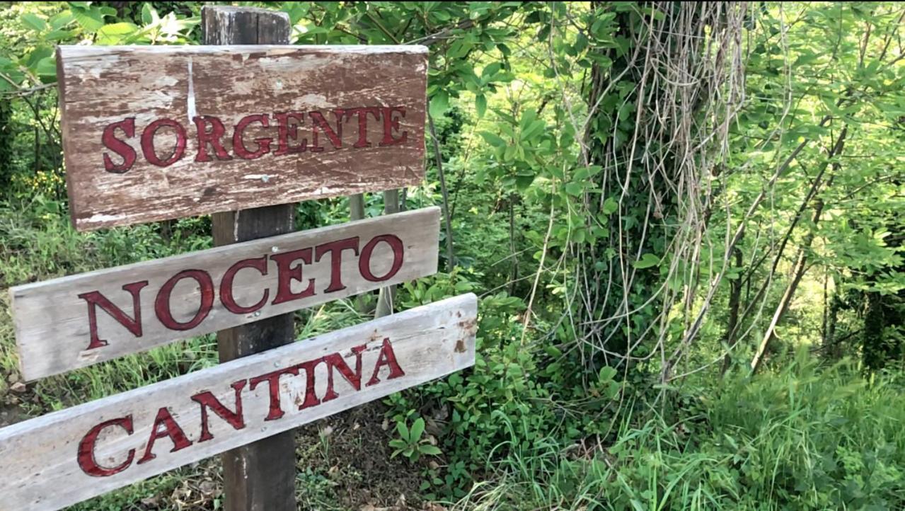 Agriturismo Eco-Bio Villa Vacasio ปีติญาโน ภายนอก รูปภาพ